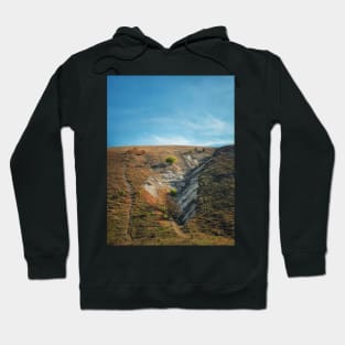 a tree on the hill Hoodie